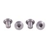 ED BROWN SLIM GRIP SCREWS, SS