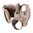 TANGODOWN TRIJICON MRO COVER, FDE
