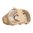 ARMAGEDDON GEAR BROKOS DUMP POUCH COYOTE