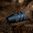 Kammen nuppi Mountain Tacticalin kampeen, Knurled