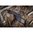 Tikka CTR alarauta AICS lippaille