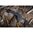 Tikka T3/T3X alarauta LA AICS lippaille
