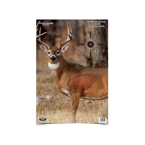 BC Pregame 16.5 x 24 Whitetail Targetit ovat realistisia ja värikkäitä, jotka auttavat sinua kehittämään ampumataitojasi ja havaitsemaan osumat nopeasti.