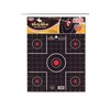 BIRCHWOOD CASEY DIRTY BIRD 2" SIGHT-IN TARGET 12 PK