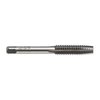 Triumph Twist Drill Co. Fractional Carbon Taps tarjoavat tarkkaa sisäthreadausta, kestävästä hiiliteräksestä valmistettuina, helppo poistaa rikkoutuneet osat.